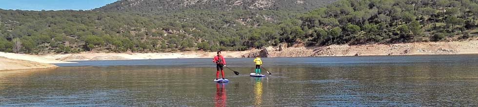 Paddle_1 Paddle_1
