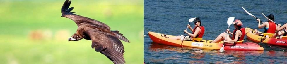 kayak-fauna kayak-fauna